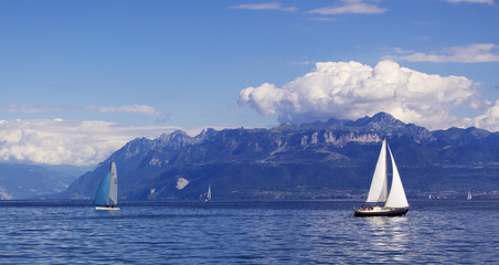 Fotobehang Zeilen Zeilen op het meer van Genève  © Andrei Kazarov