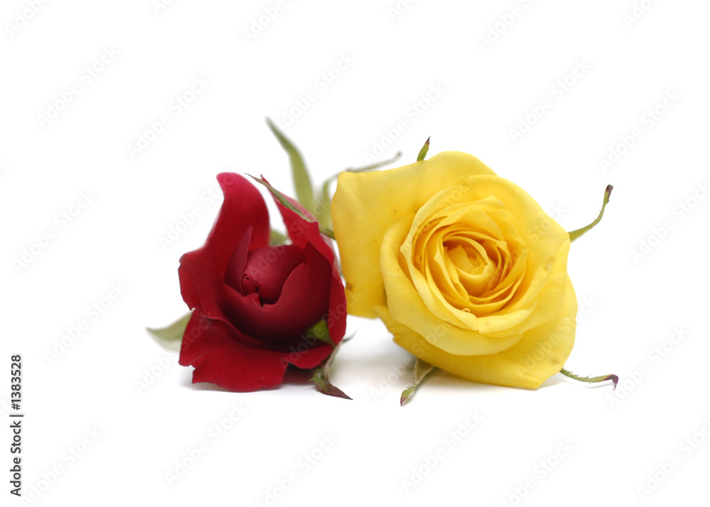 red and yellow red and yellow