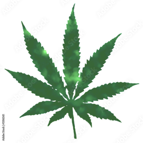 cannabis