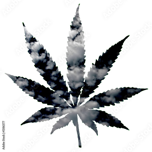 cannabis