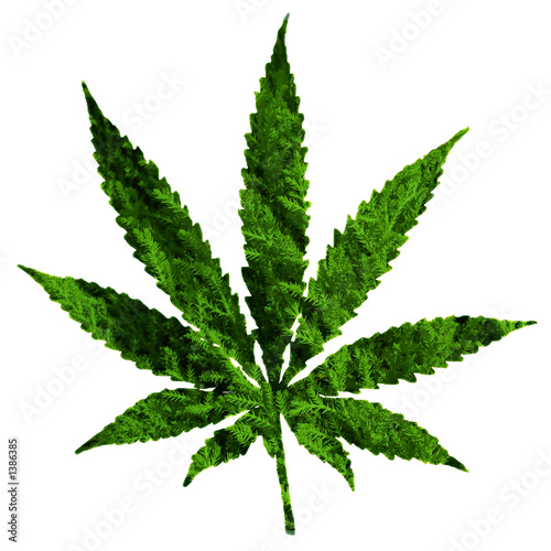 cannabis