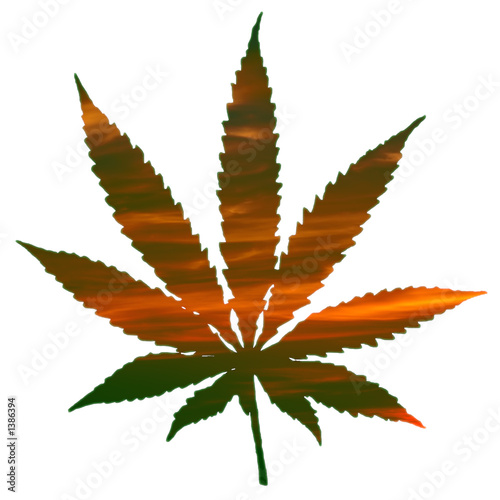 cannabis