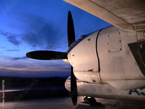 evening flight photo