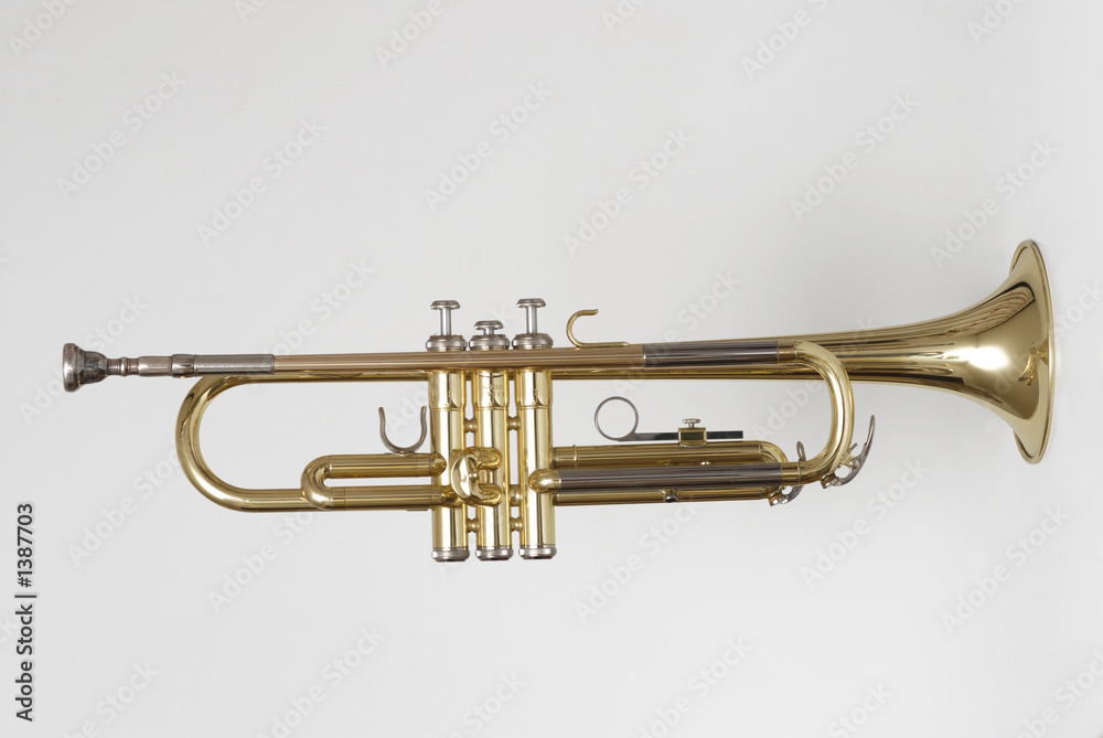 Fototapeta premium trumpet 2