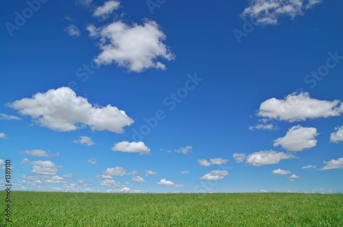 rural spring countryside