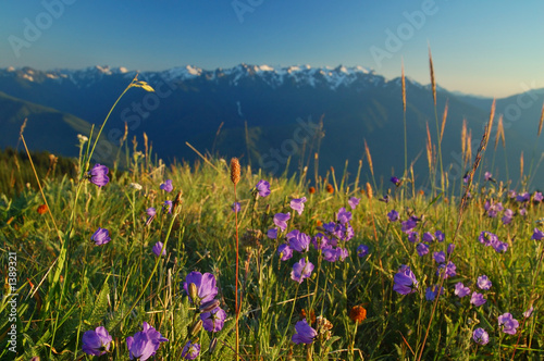 mountain landscape