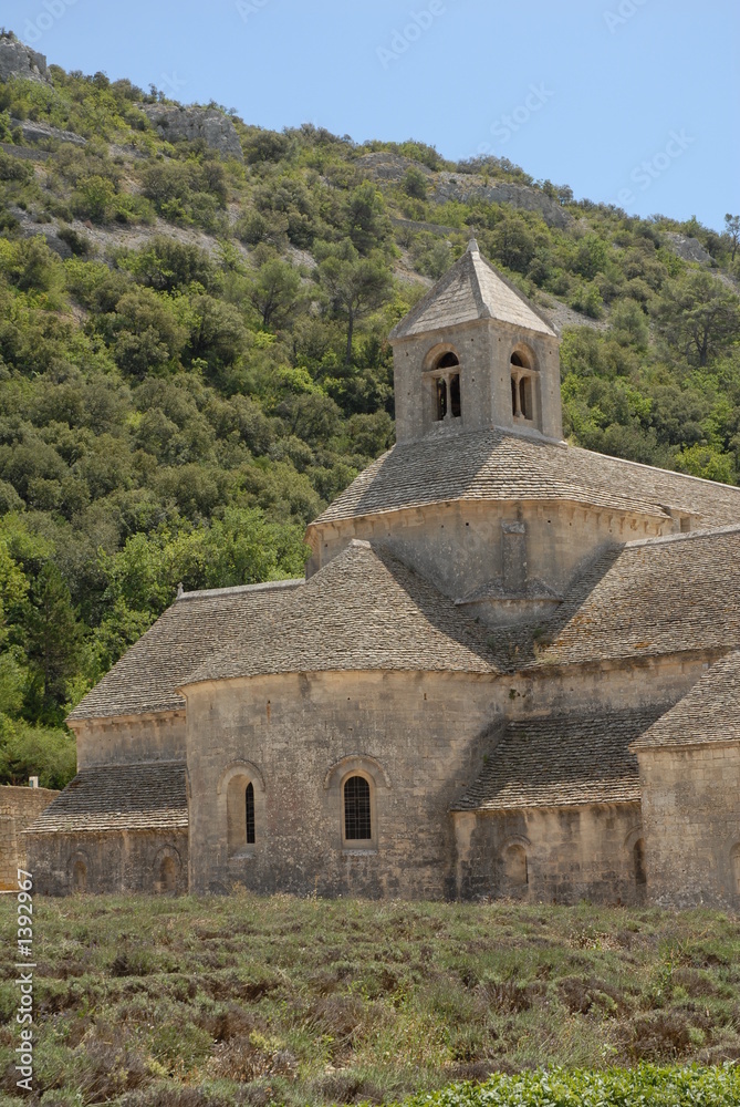 abbaye de sénanque abbaye de sénanque