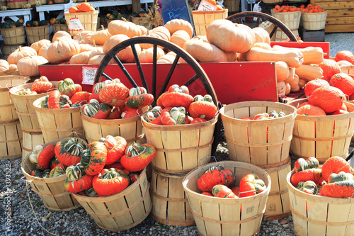 autumn squash