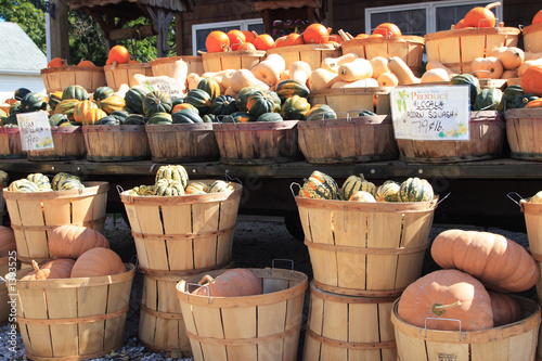 farm stand