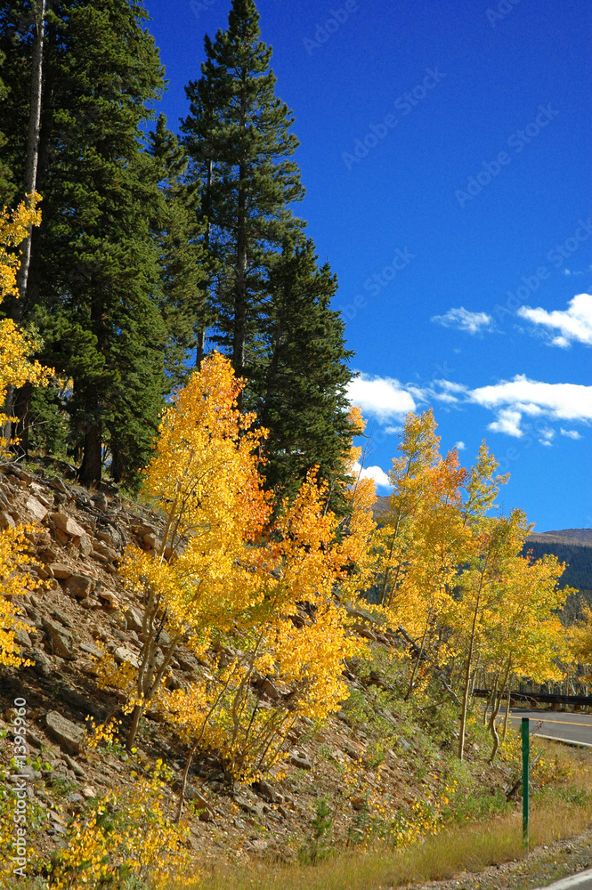fall in colorado