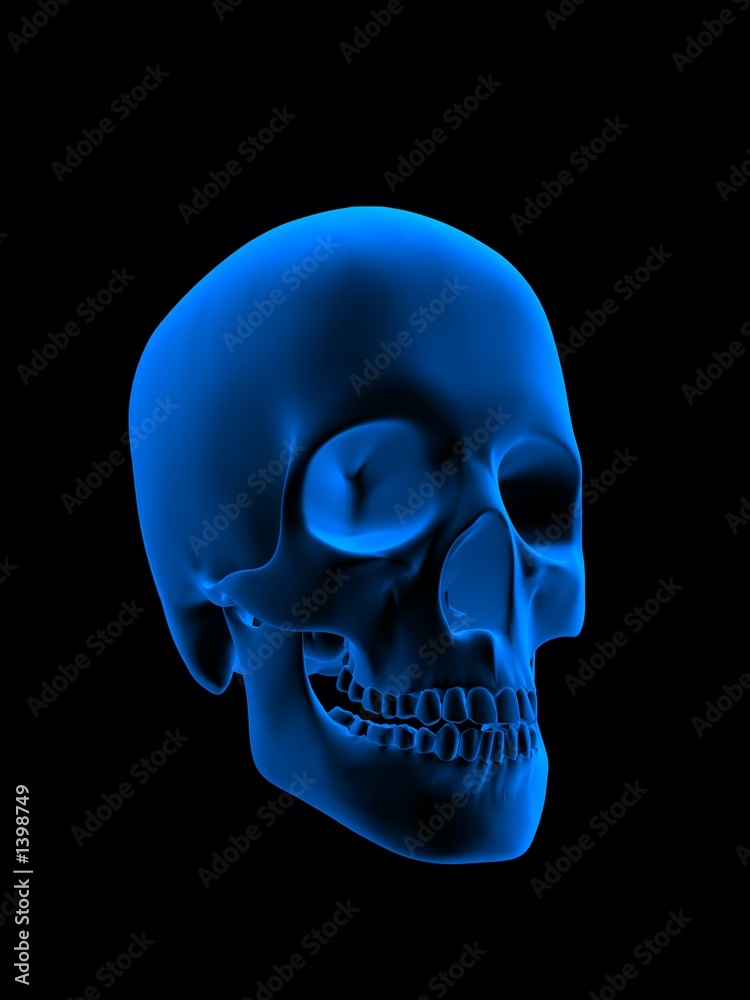 blauer schädel blauer schädel