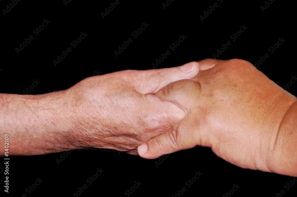 Fototapeta premium holding hands