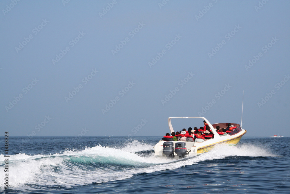 Fototapeta premium excursion boat