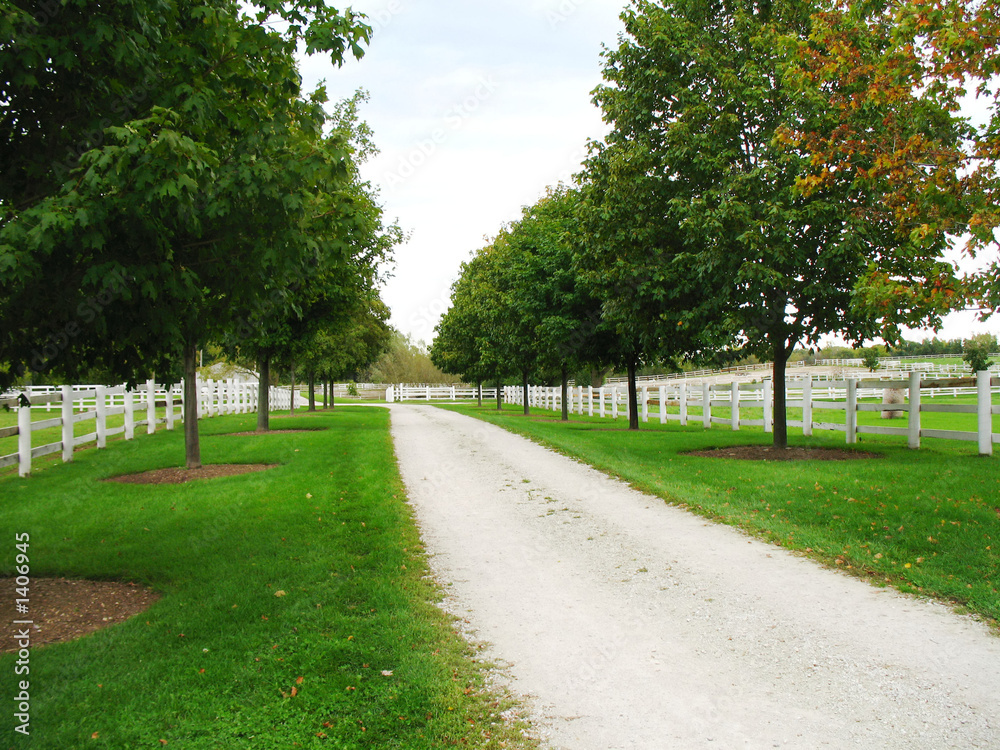 country road