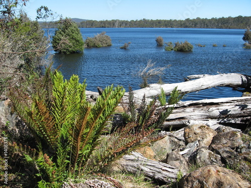 tasmanischer see
