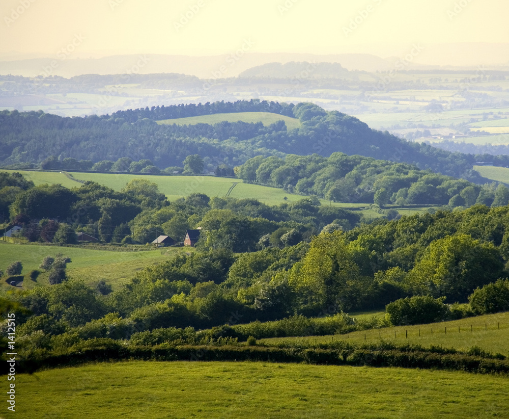 Obraz premium england gloucestershire the forest of dean as seen