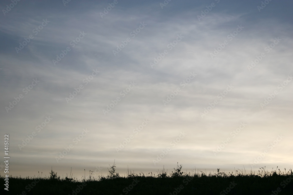 Obraz premium silhouette grass on sky