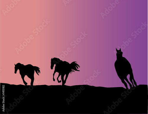 horse silhouettes -  illustration