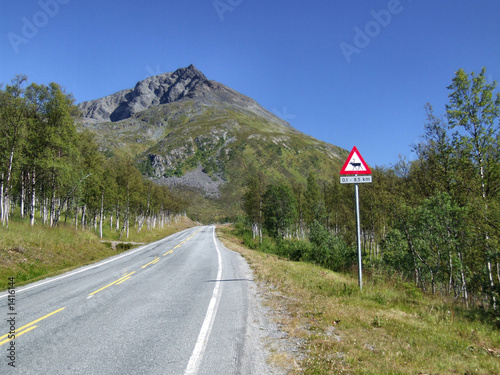 scenic road and reindeer warning