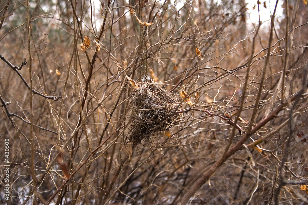 birdhouse birdhouse