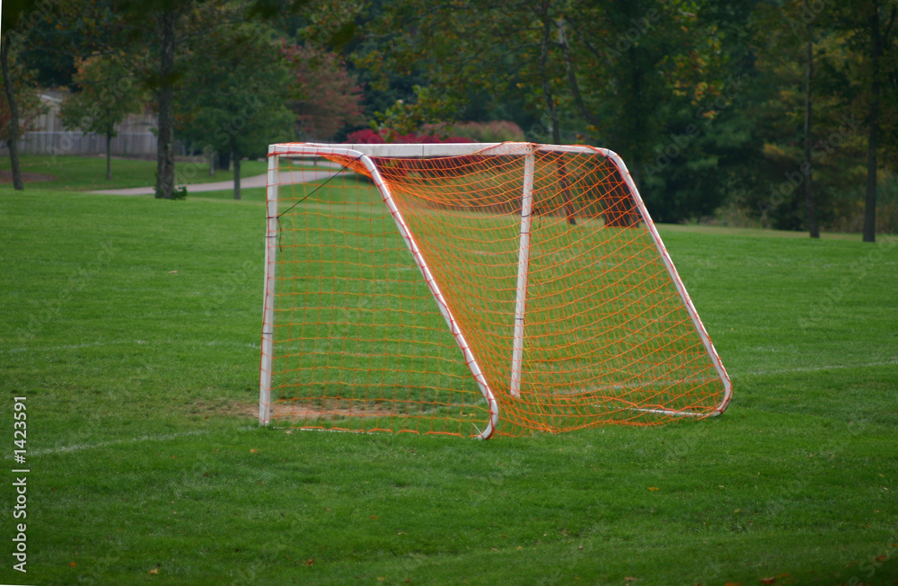 Fototapeta premium soccer goal net