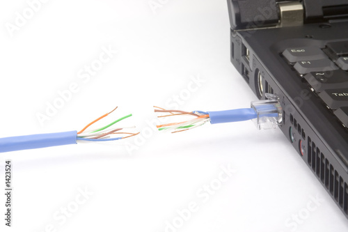 network cable cut offnetwork cable cut off
