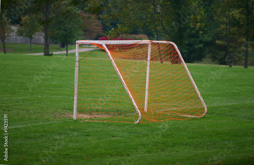 soccer goal net © sonya etchison
