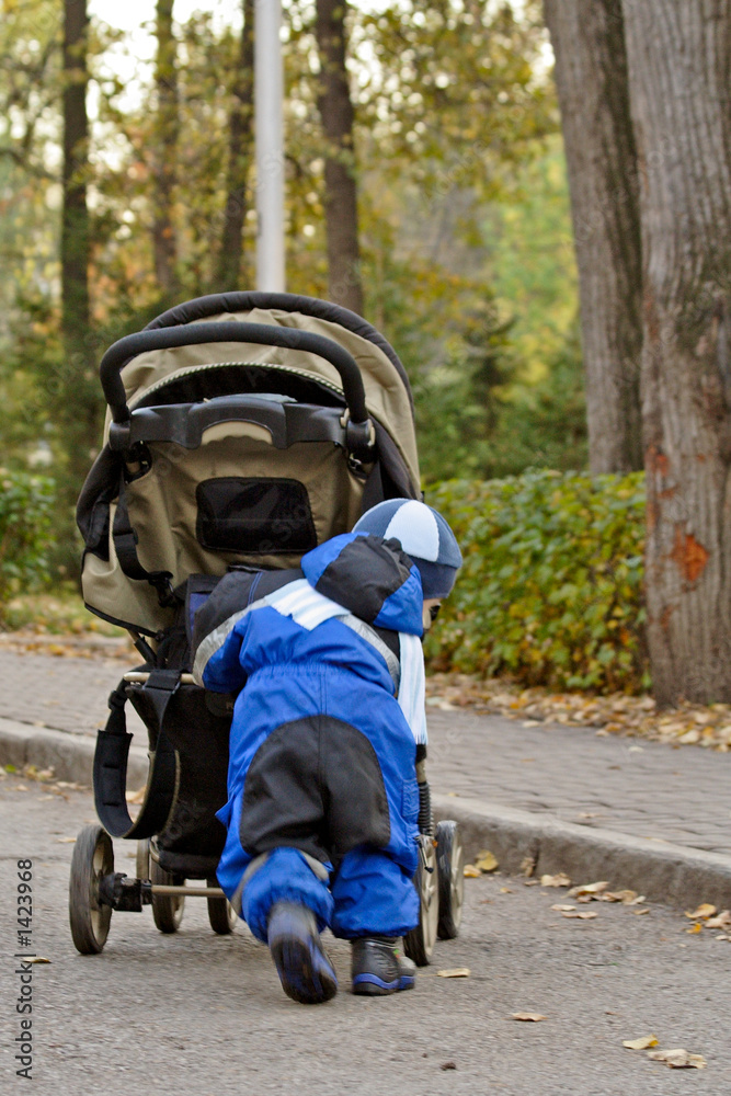 Obraz premium after drizzling rain (13)