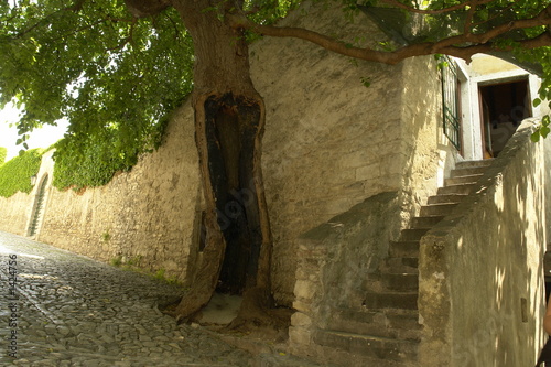 steintreppe gardasee photo