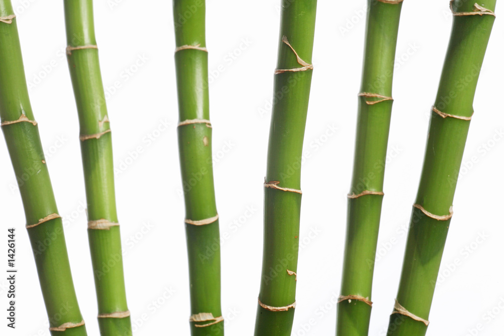 Obraz premium 6 bambus halme