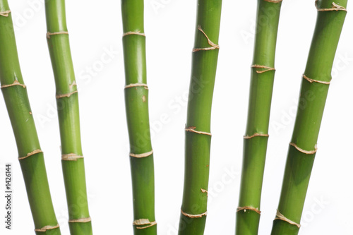 6 bambus halme