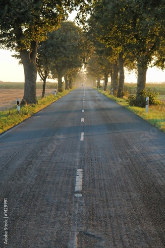 allee