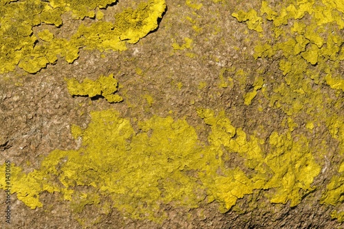 gelber stein