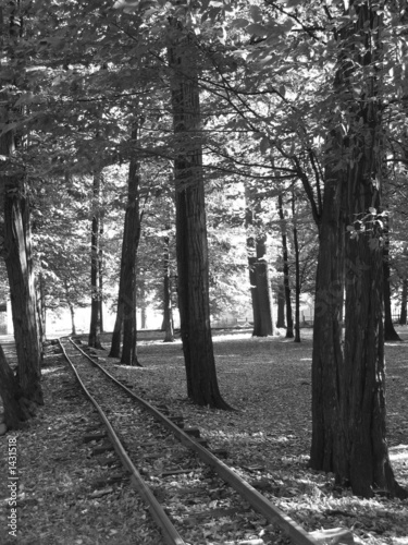 railroad in the park