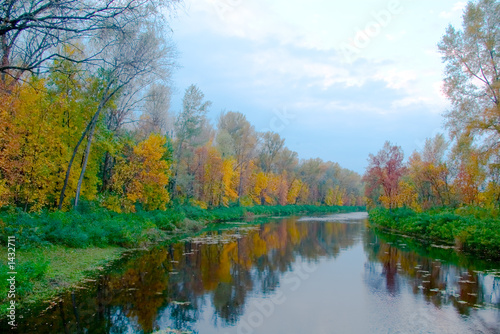 colourful autumn landscape of river and bright tre