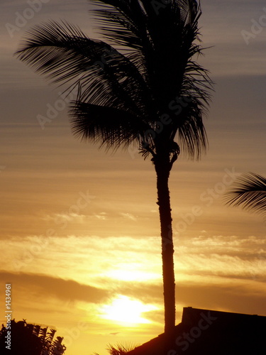 sunset  maui  hawaii