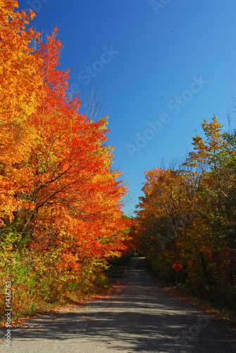 fall pathway