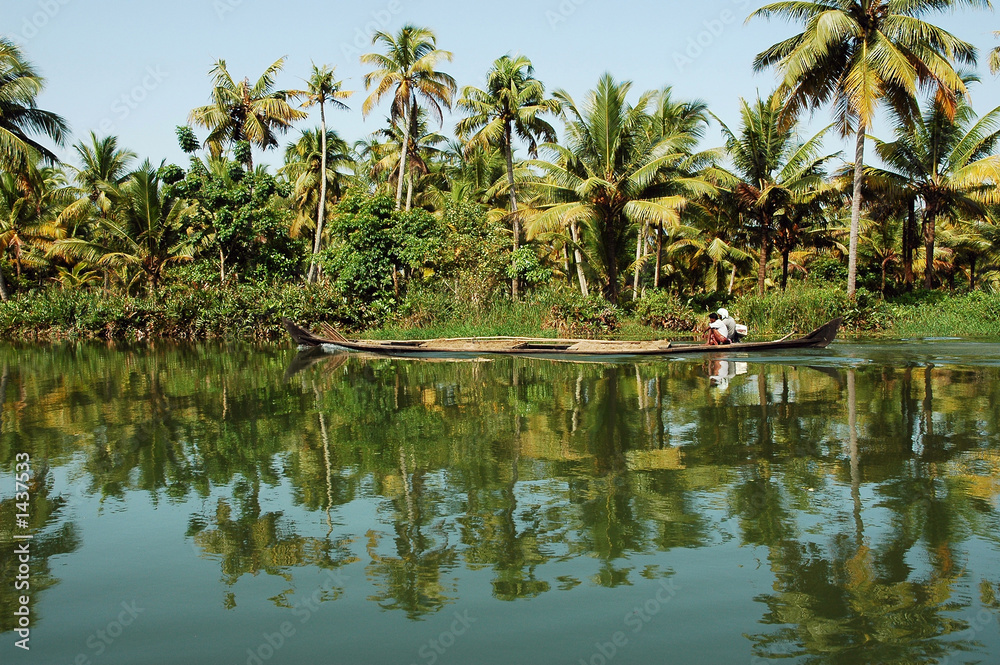 Obraz premium india, kerala: landscape