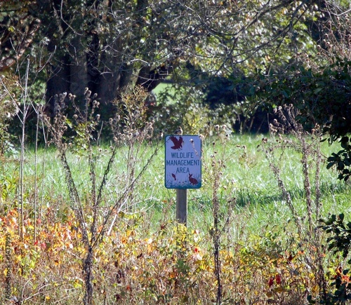 wildlife sign photo