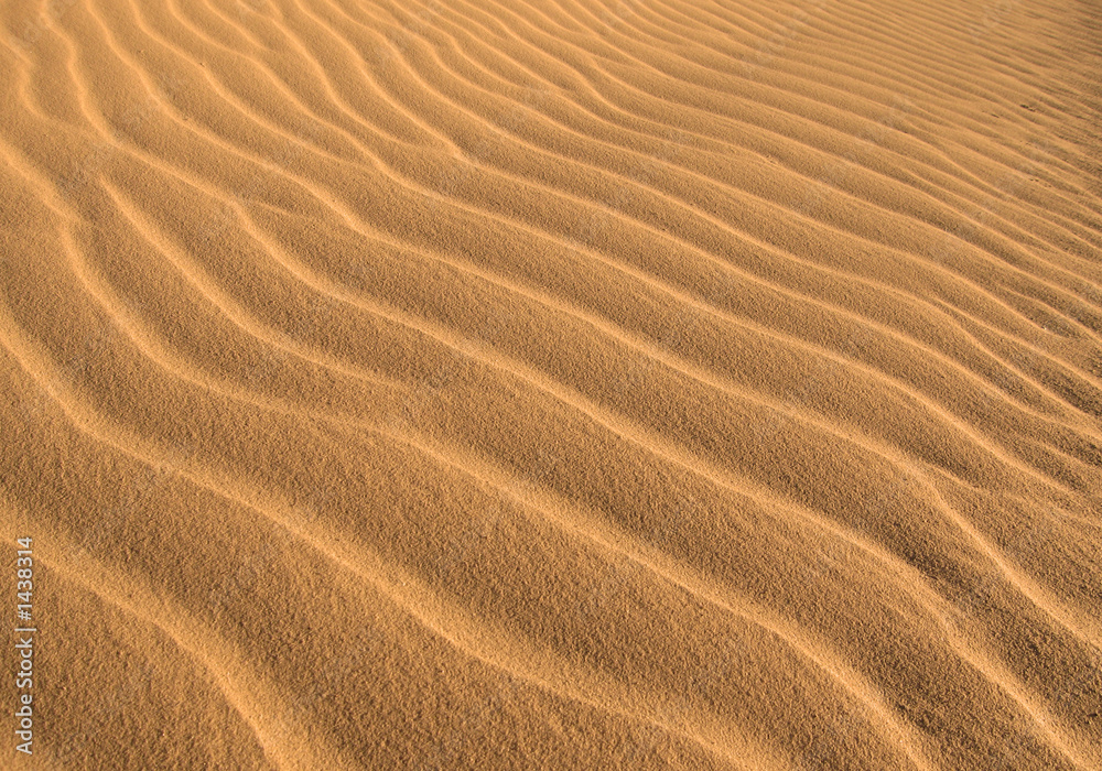 sable sable