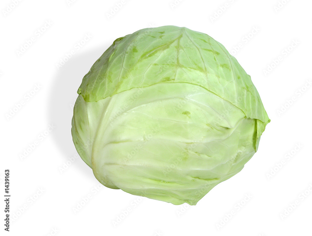 cabbage cabbage