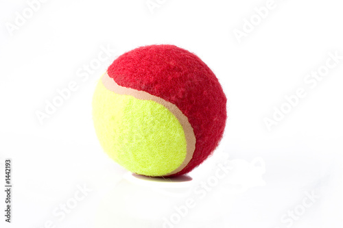 Bilde på lerret tennis ball