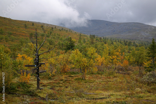 mountain in lapland