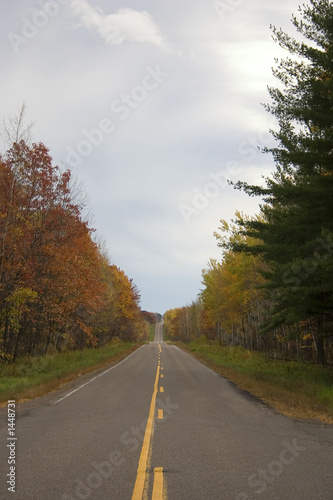 autumn road