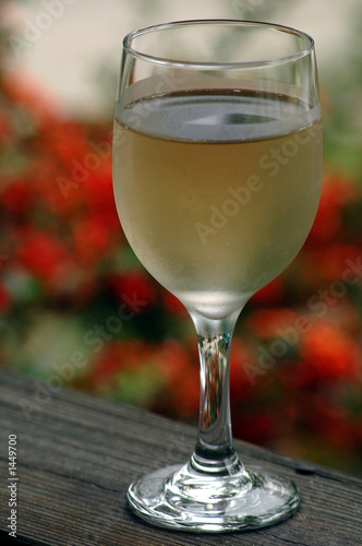 chilled glass of pinot grigio