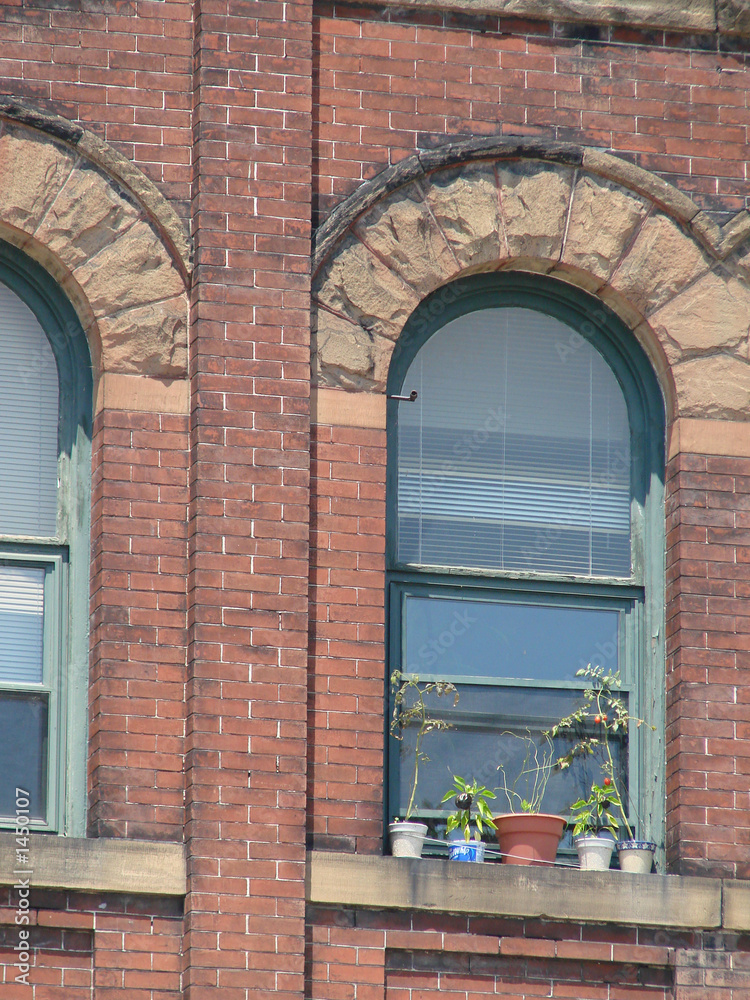 window garden window garden