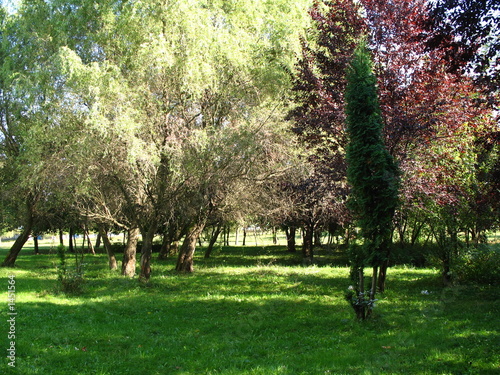 park