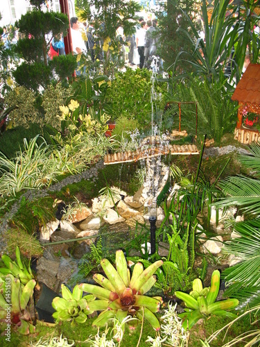 miniature garden