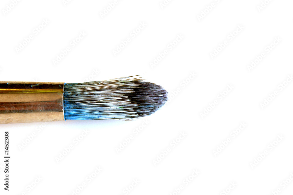 Fototapeta premium paint brush #6