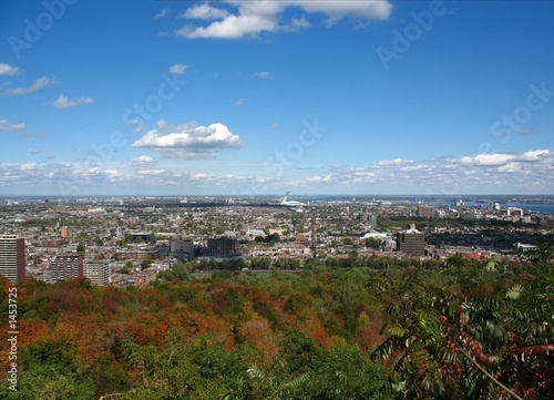 view from mont-royal of montreal